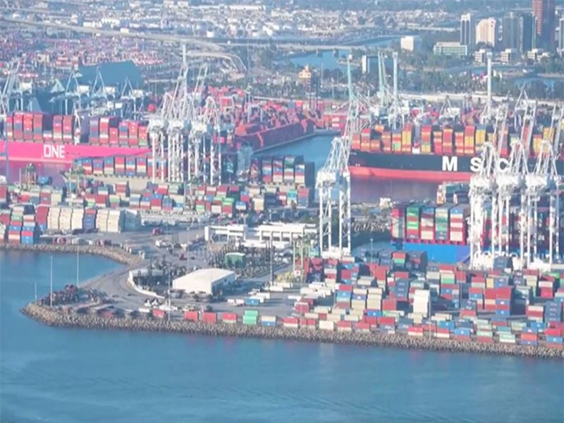 Plódú tráchta ag Mórphoirt na SA in 2021